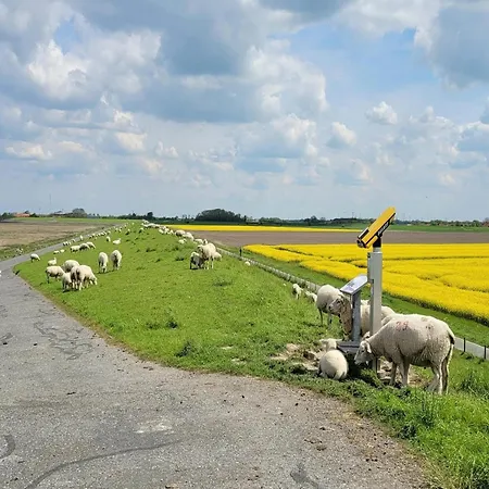 Greetjehaus In Westerbur