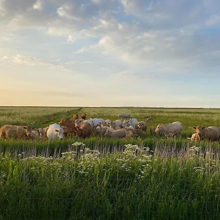 Greetjehaus In Casa de Férias *