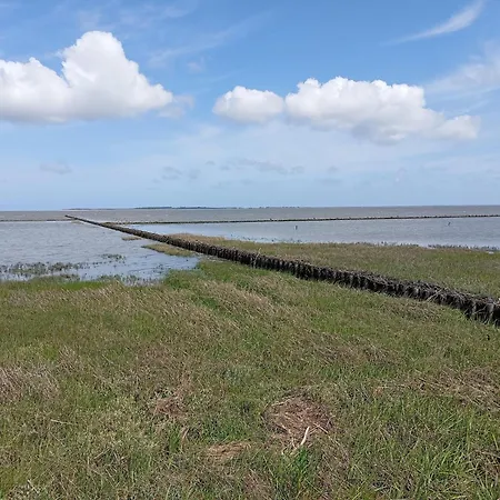 Casa de Férias Greetjehaus In Westerbur