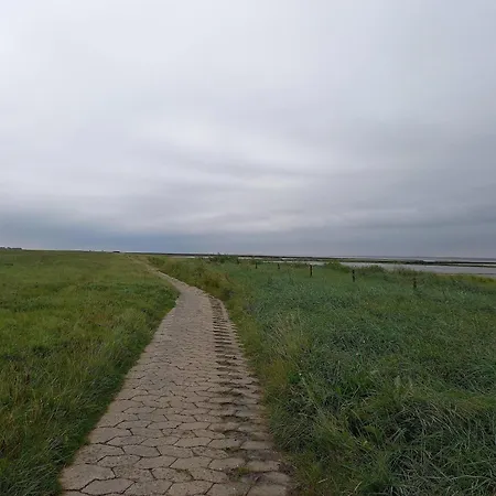 Casa de Férias Greetjehaus In Westerbur