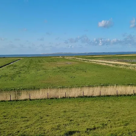 Greetjehaus In Westerbur