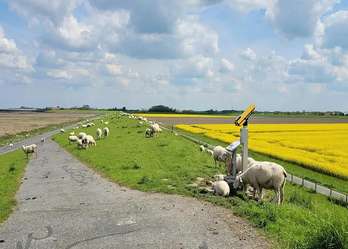 Greetjehaus In Westerbur