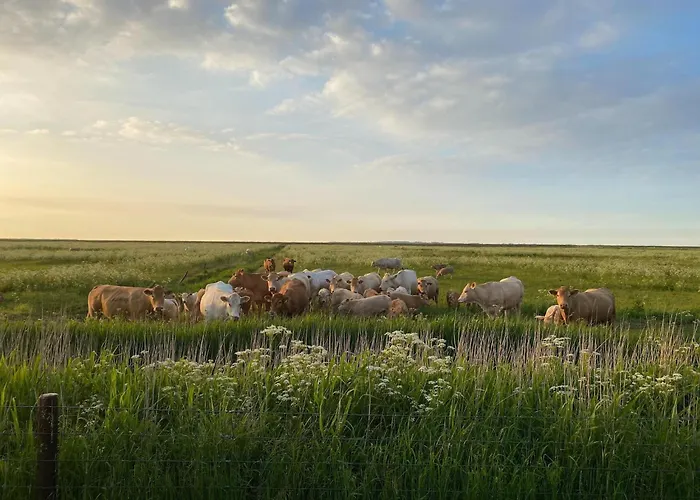 Greetjehaus In Hébergement de vacances *