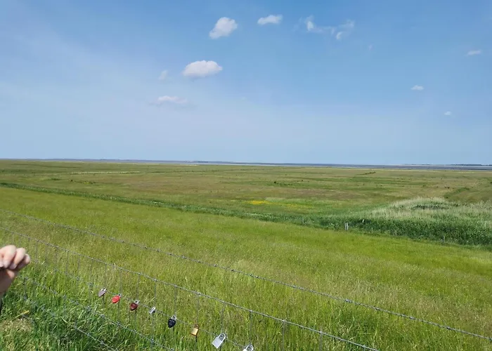 Greetjehaus In Hébergement de vacances Westerbur