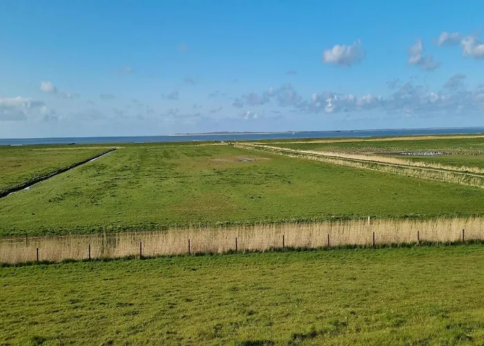 Greetjehaus In Westerbur